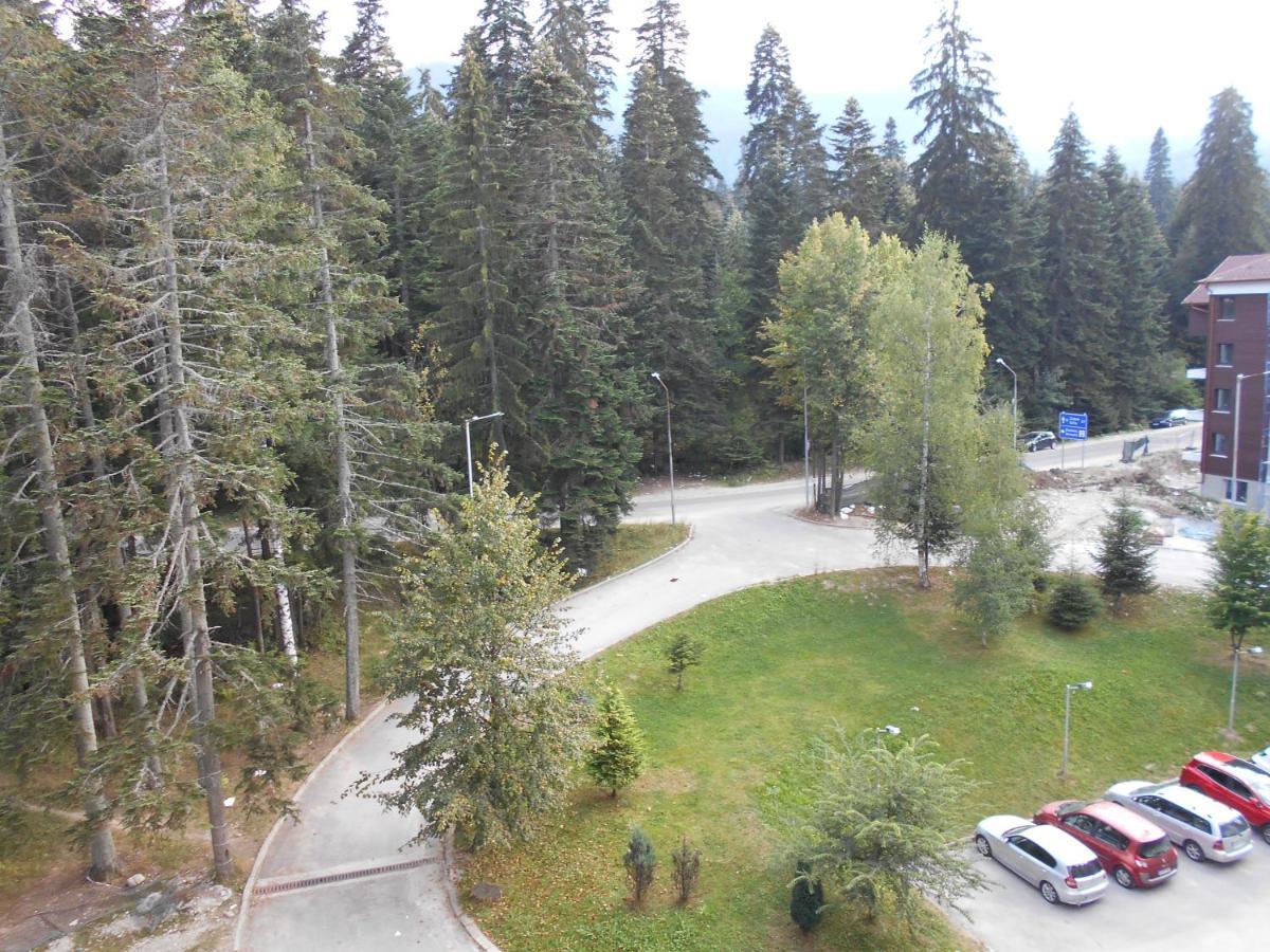 Valentina'S Studio In "Borovets Gardens" Hotel エクステリア 写真